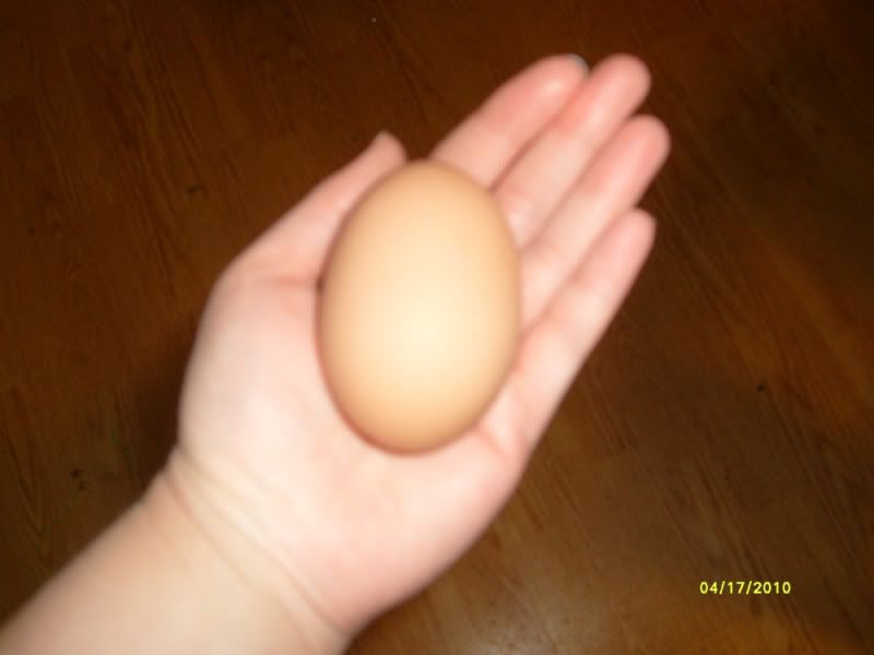 hugeegg2.jpg