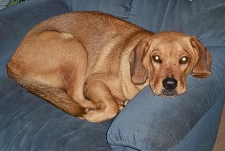 Molly100809.jpg