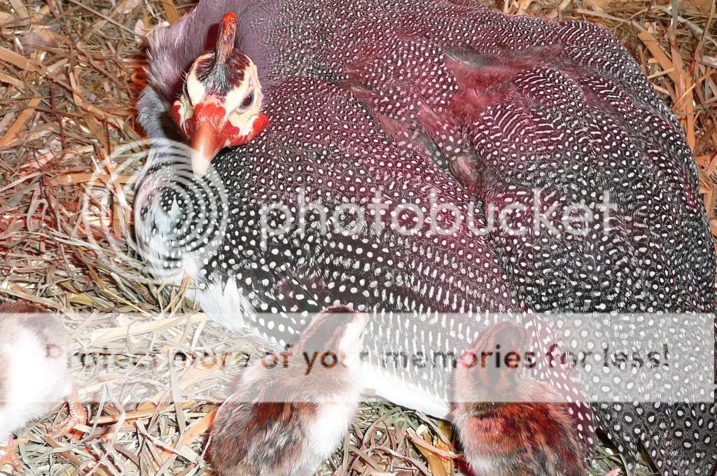 october302011006.jpg