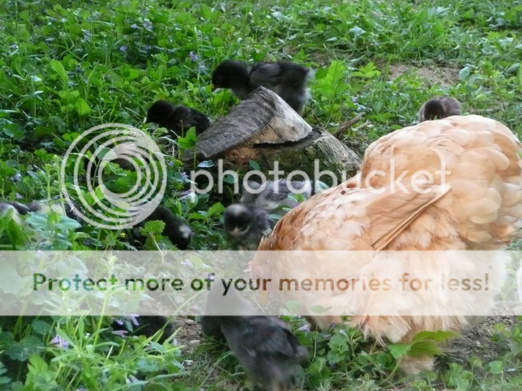 3taken5110.jpg
