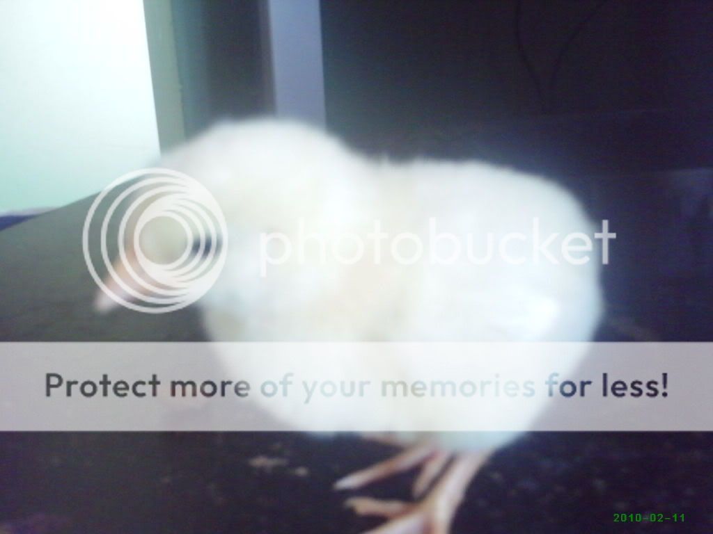 PHTO0597.jpg