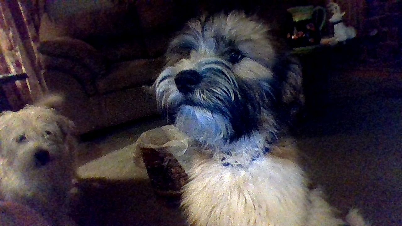 120x120px-LS-7eaf060b_Bandit..jpeg