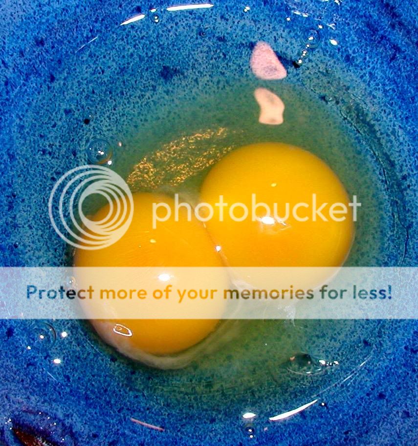 monstereggdoubleyolk.jpg