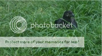 2011-06-14_20-24-17_813-1.jpg