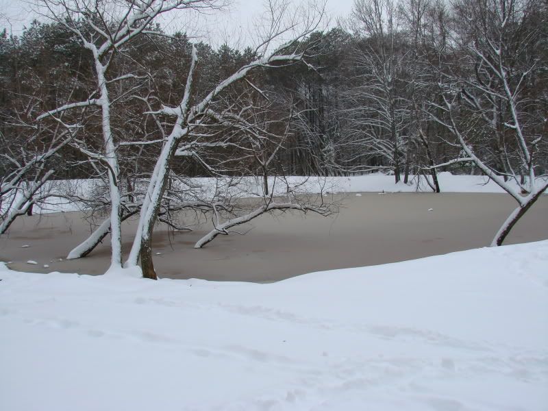 DSC06326.jpg