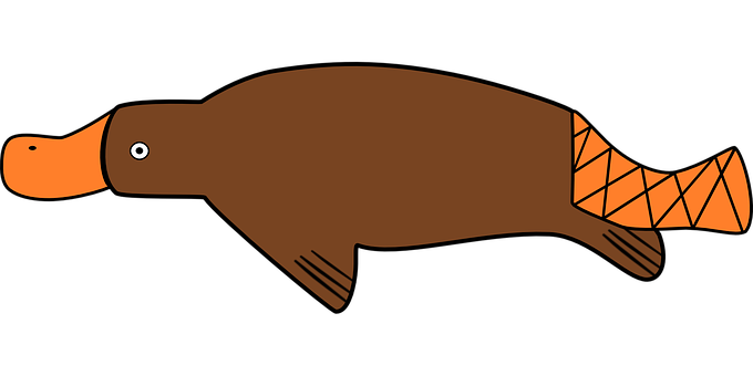 duck-billed-platypus-161908__340.png