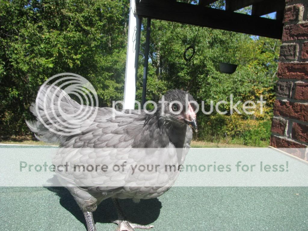 IMG_2143.jpg