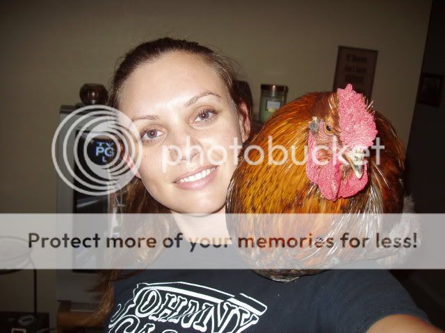 Chickens008.jpg