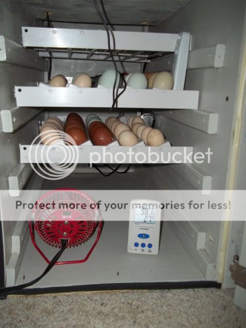 ef79d6c6c56c417f5aa36ad110080341_zpsff02c956.jpg