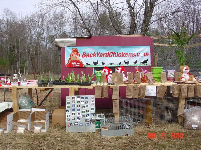 springfling034.jpg