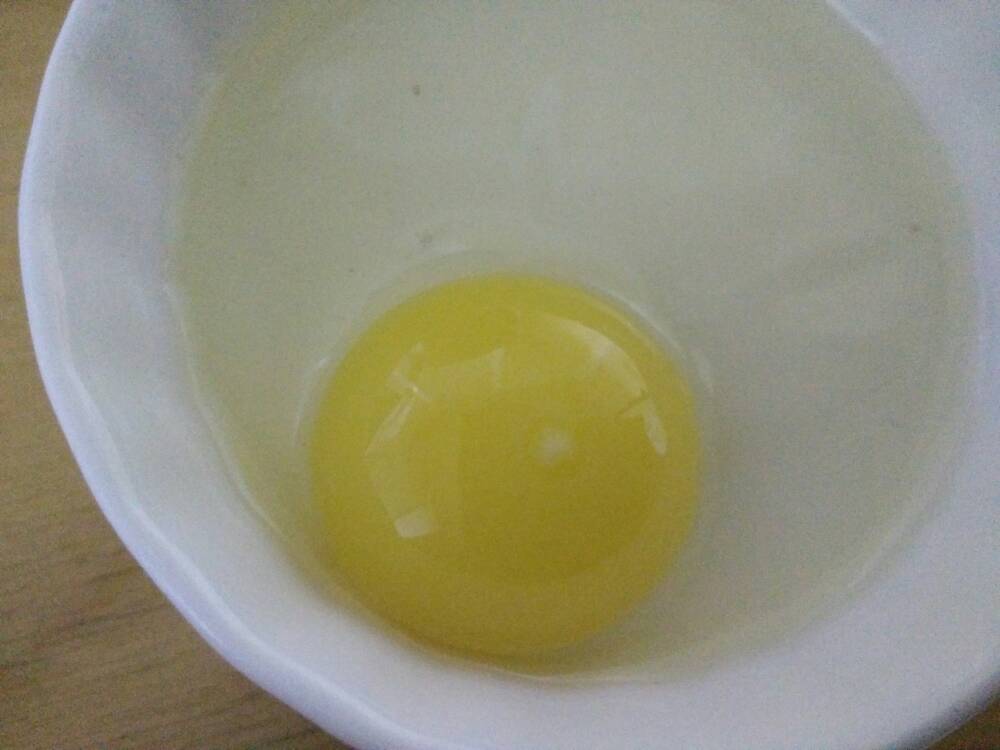 Inside Of A Fertile Japanese Quail Eggs Backyard Chickens Learn How To Raise Chickens