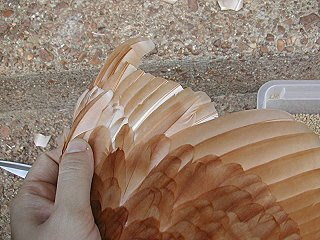 extra+feather.JPG
