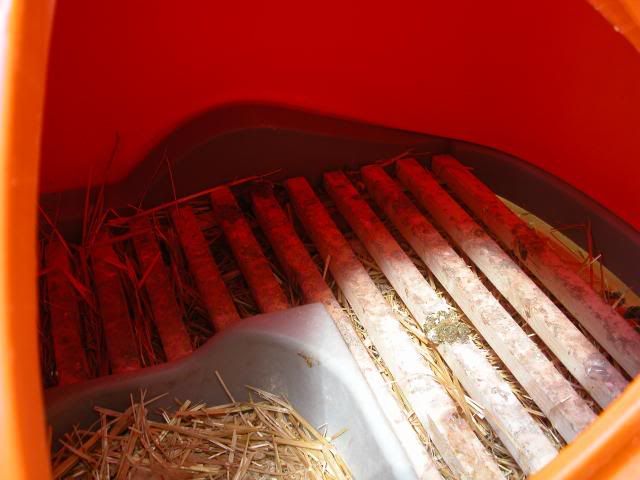 042.jpg