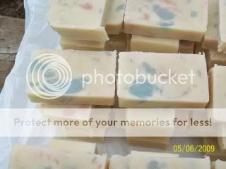 100_2436.jpg
