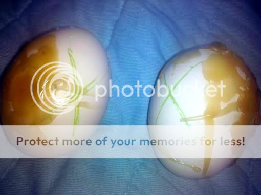 eggs2.jpg