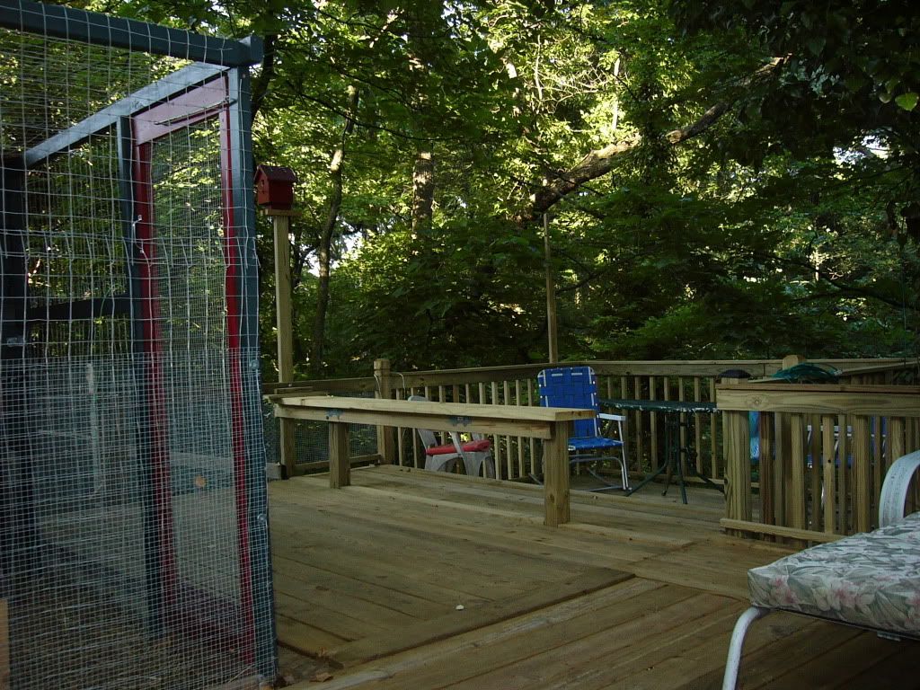 CoopDeck4.jpg
