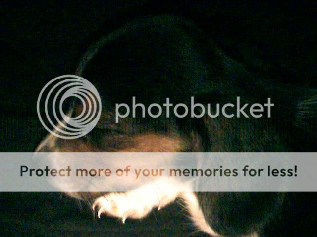 Picture216.jpg