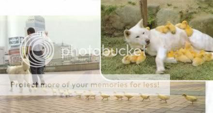 chicks-love-dogs.jpg