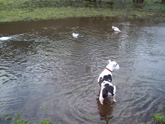 100_5659.JPG
