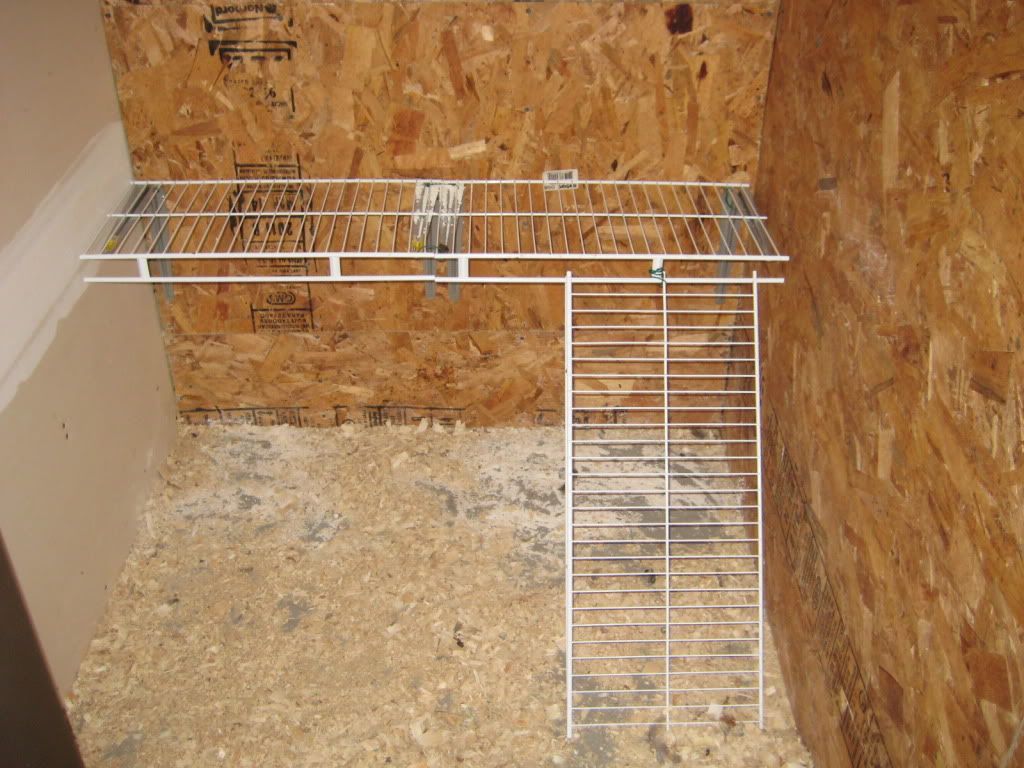 coop001.jpg