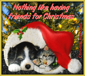 CatDogChristmas.gif