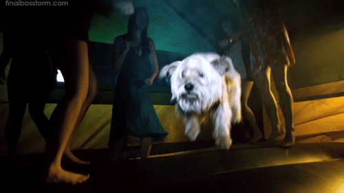 tumblr_m1dfo1jIEJ1qmdy0uo1_500.gif