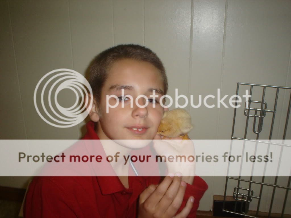 Kidswithchickens001.jpg
