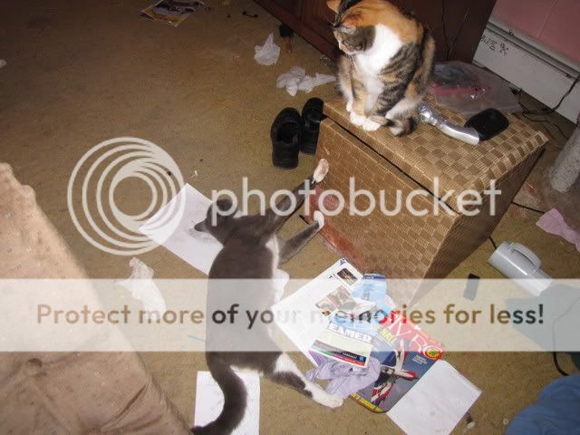 feb52008028.jpg