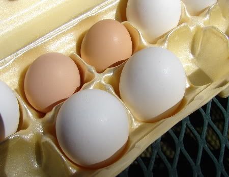 foureggs.jpg