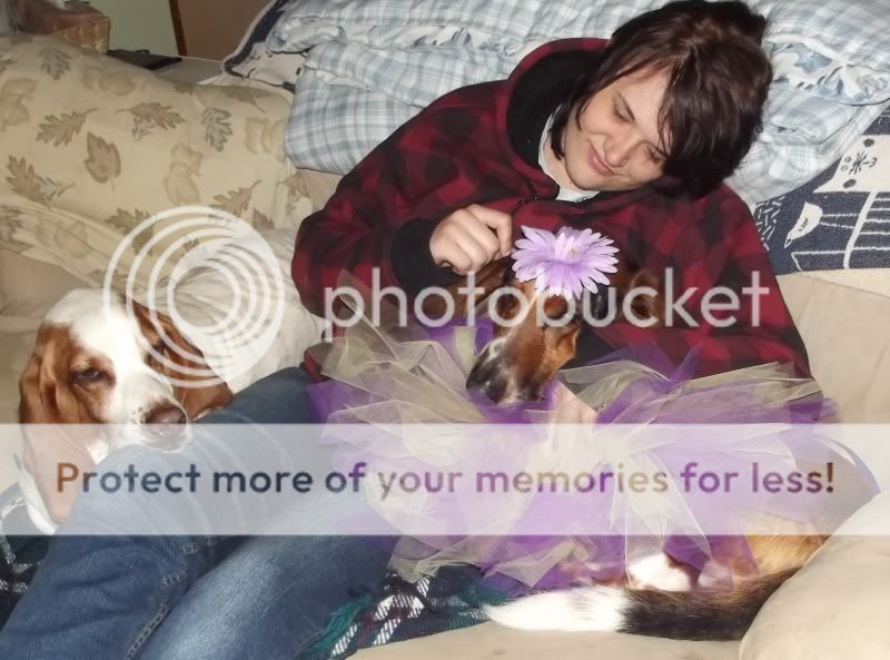 PurdyBassets002.jpg