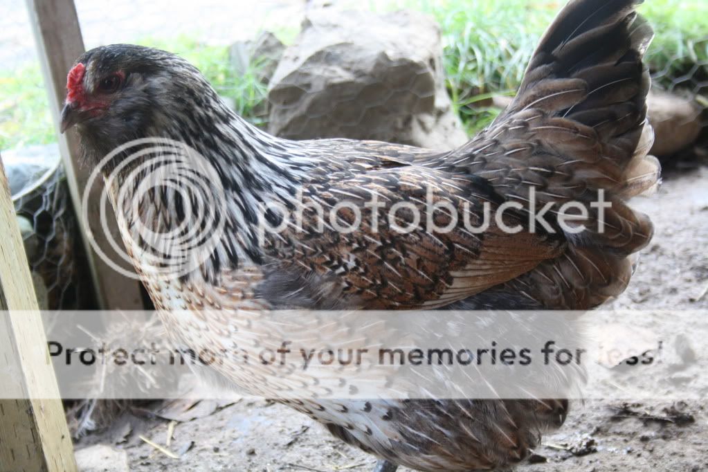 october2011231.jpg