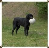 playingball-1.jpg