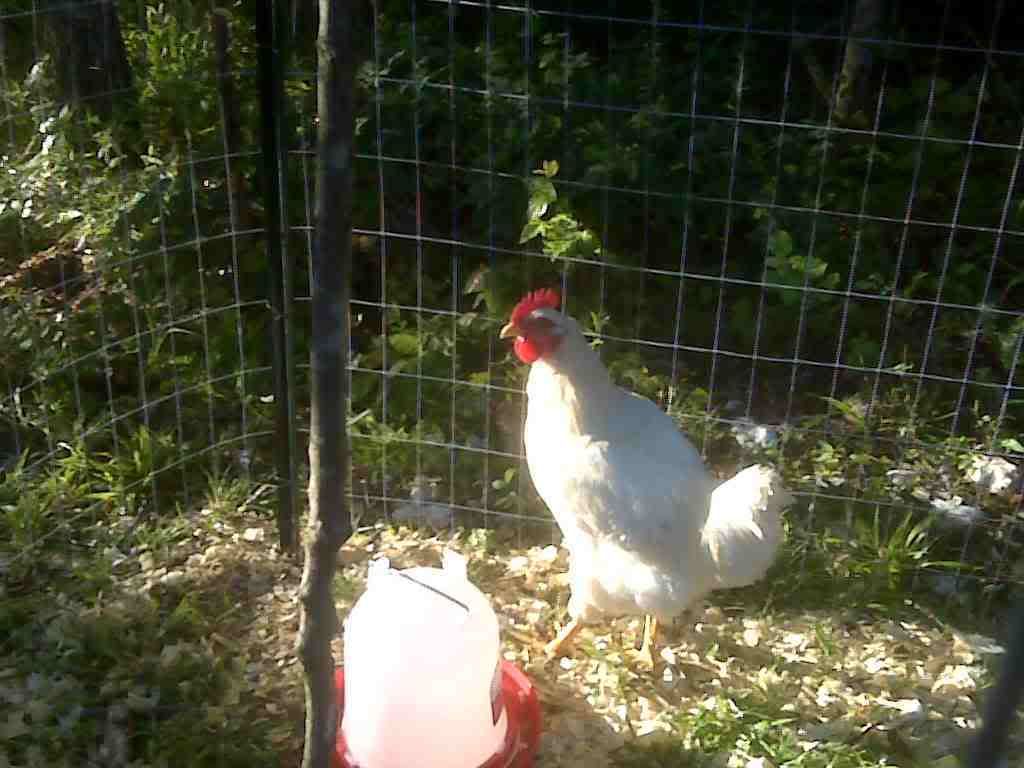 IMG00543.jpg