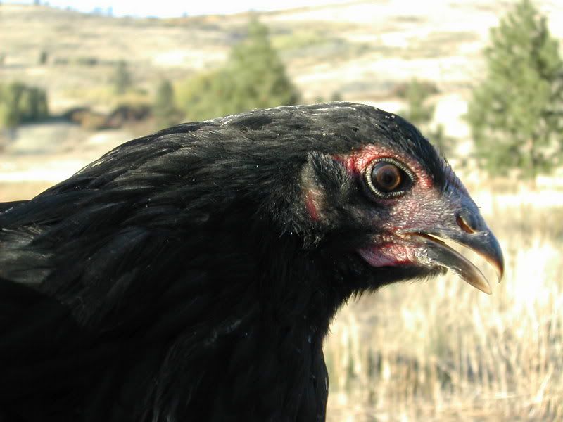 DSCN2882.jpg