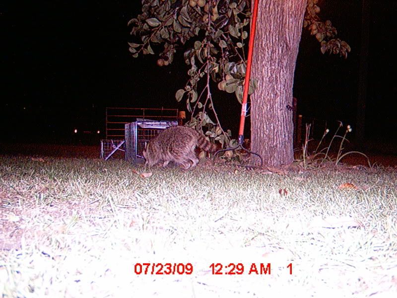 picture326.jpg