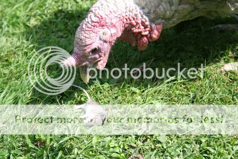 IMG_2904.jpg