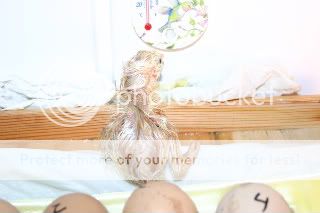 IMG_2693.jpg