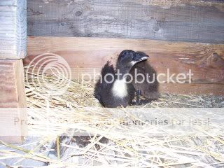 100_1780.jpg