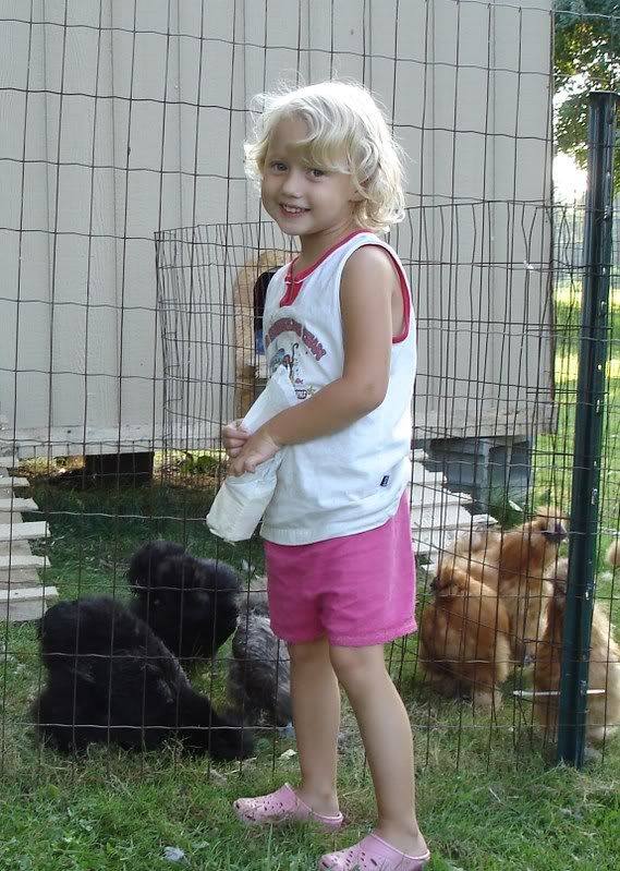 aacoopandchicks039.jpg
