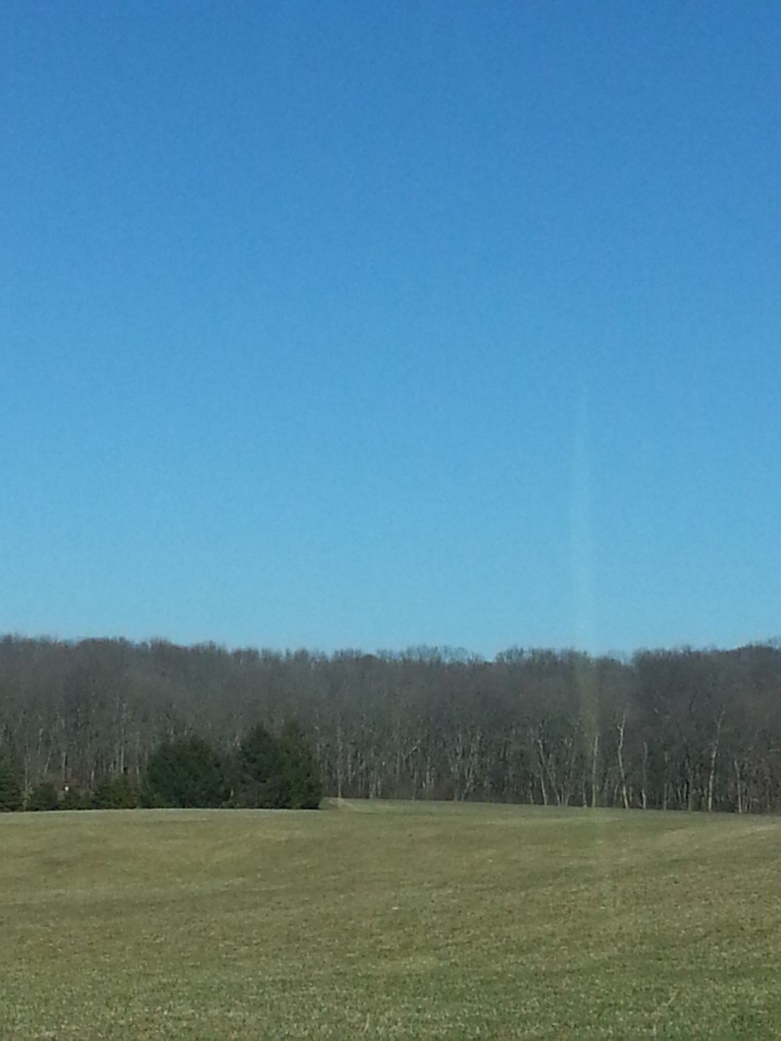 900x900px-LL-70d92990_20130406_162349.jpeg