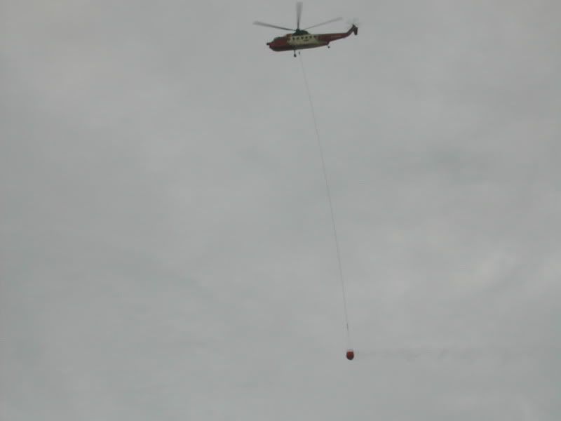 DSCN3445-1.jpg