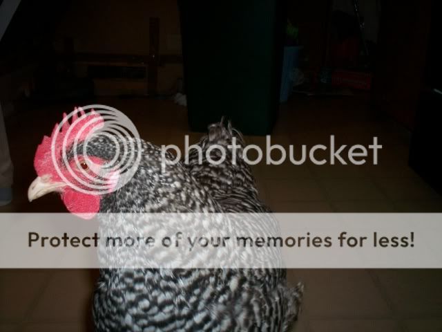 100_2349.jpg