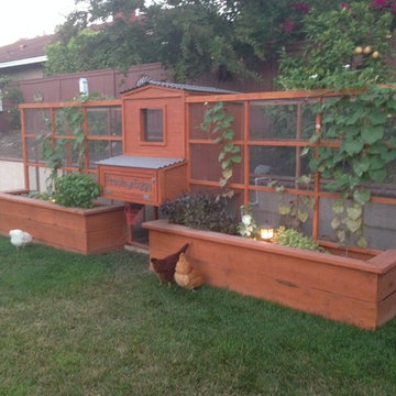 Chicken Coop Vegetable Garden - Photos & Ideas | Houzz