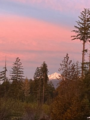 image_67186945 (1).JPG