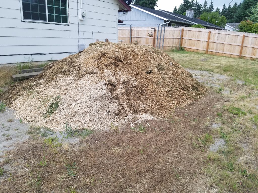 20190701_173147-1024x768.jpg