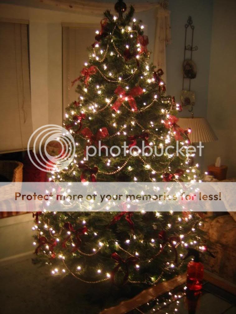IMG_1771.jpg