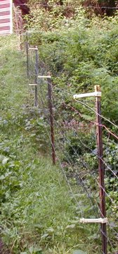 fence-3.jpg