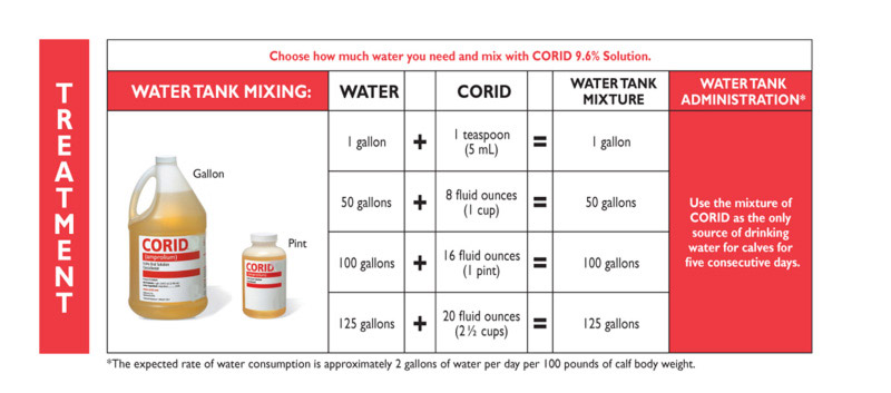 CORID-Slim-Jim-5_800.jpg