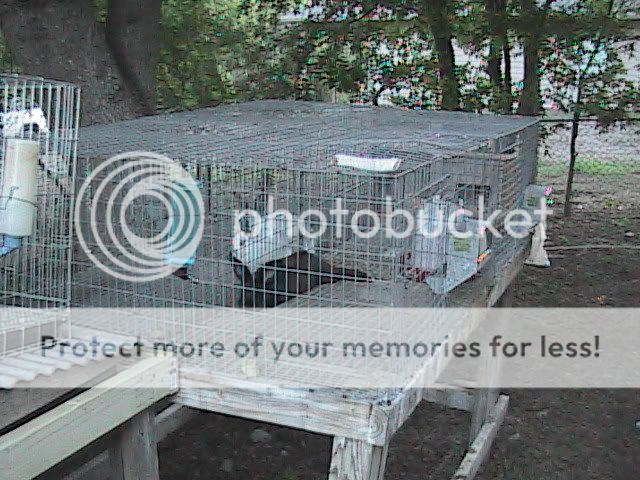 hutch2a.jpg