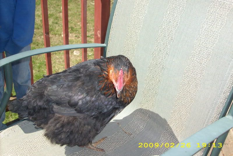 Picture133.jpg
